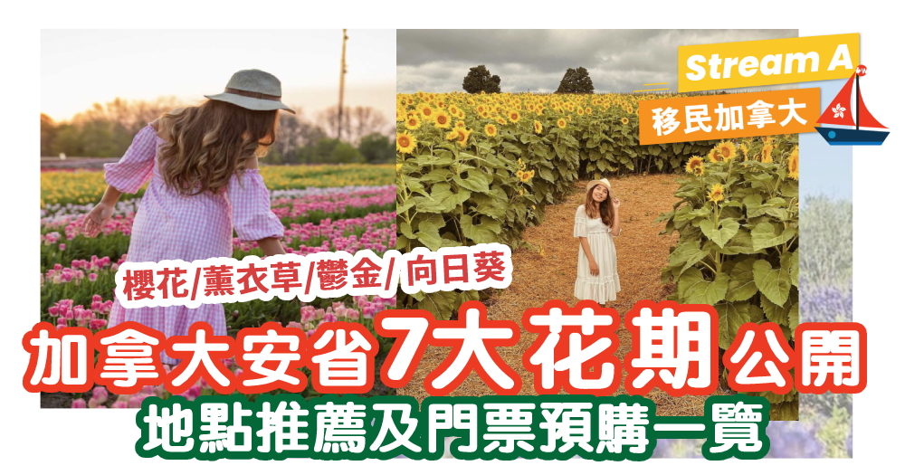 加拿大安省賞花時間表2023｜櫻花、薰衣草、鬱金香、向日葵等7大花期 |地點及入預購場券一覽｜多倫多 Day Trip